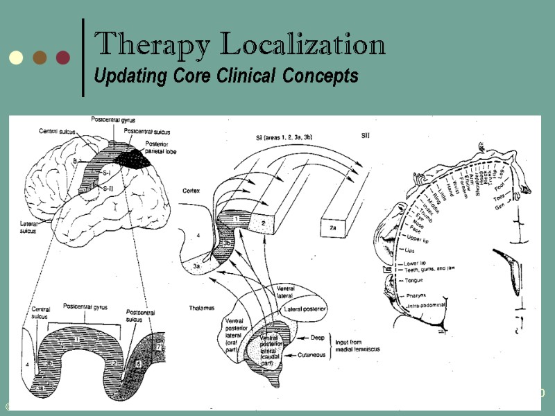 20   Therapy Localization Updating Core Clinical Concepts